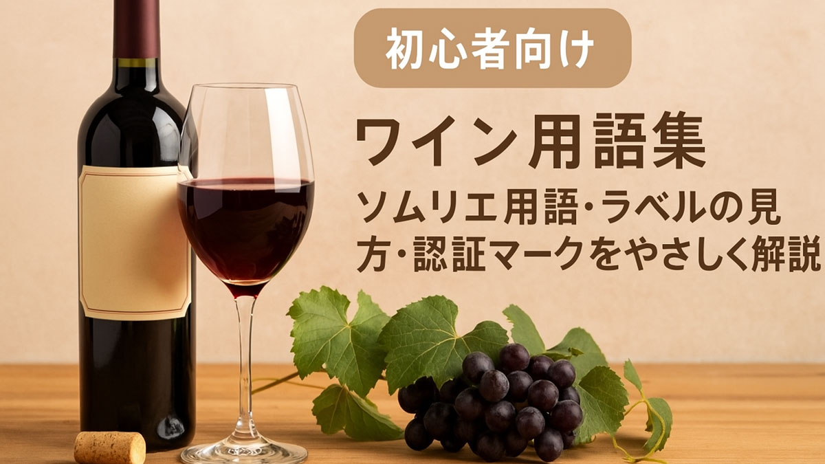 赤ワインのボトルとグラス、ぶどうの葉と房が並ぶテーブル。右側に「初心者向け ワイン用語集 ソムリエ用語・ラベルの見方・認証マークをやさしく解説」という日本語テキストが配置された、やさしい雰囲気のナチュラル系イメージ。